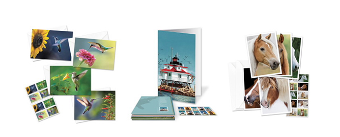 Summer Cards available in The Postal Store.